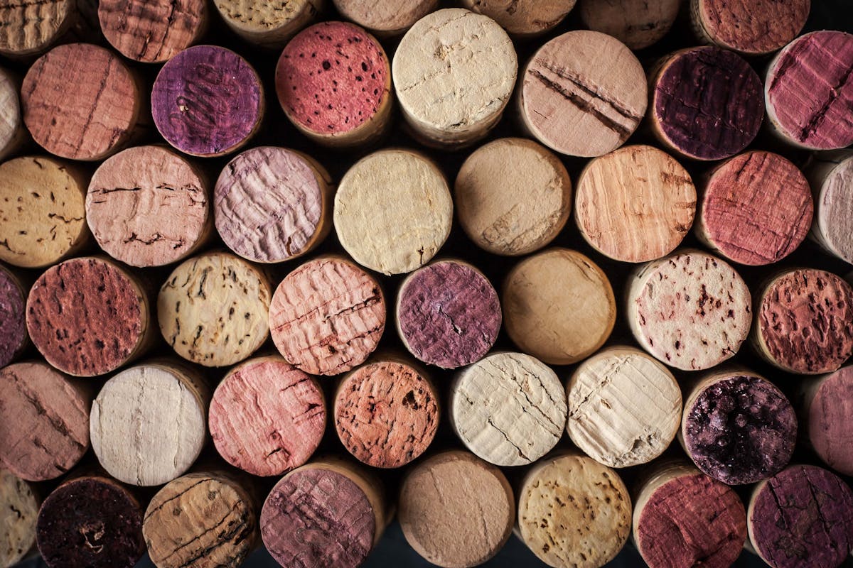 Food and Wine Pairings