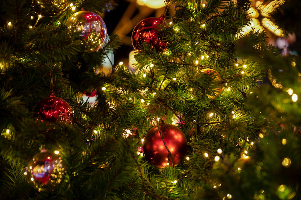 Christmas at Bottiglia