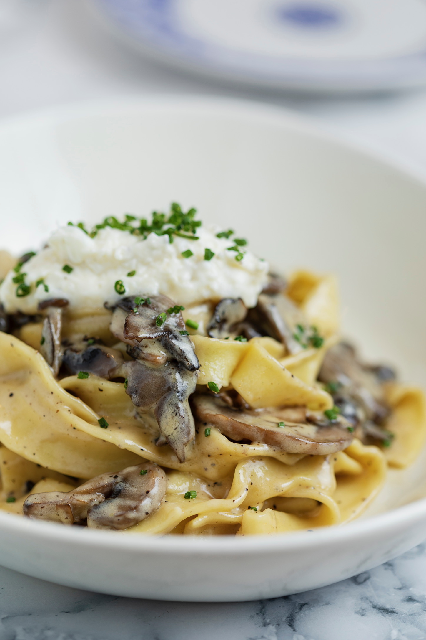 Tagliatelle pasta with truffle cream sauce, mushrooms, and shaved parmesan at this Green Valley Italian Restaurant