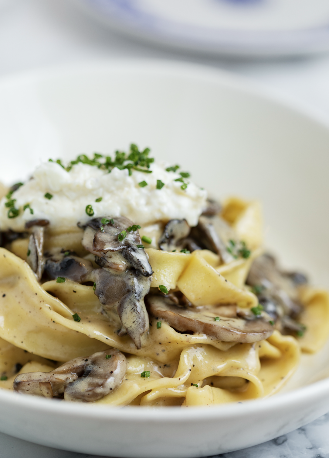 mushroom truffle tagliatelle entree option for henderson brunch in las vegas