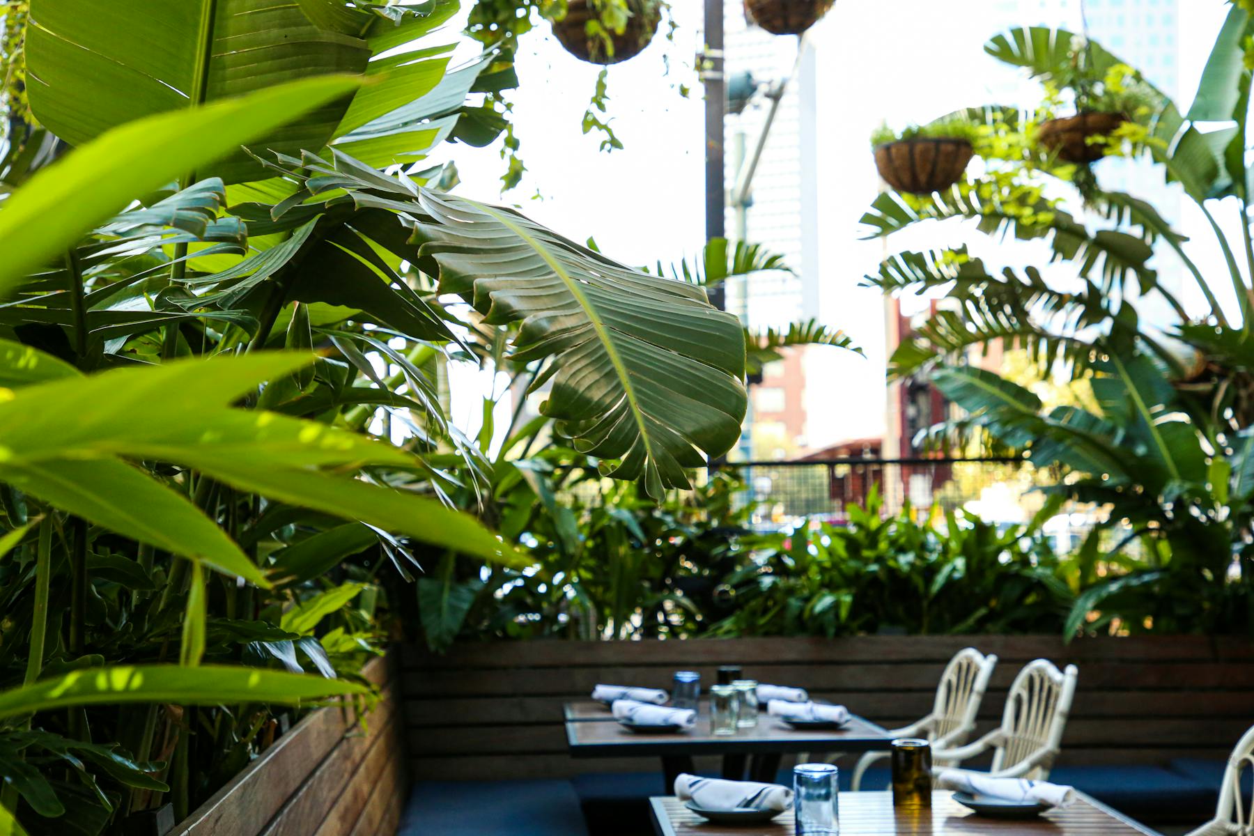 a group of palm trees on a table