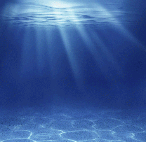a body of water