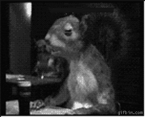 a squirrel standing in front of a television