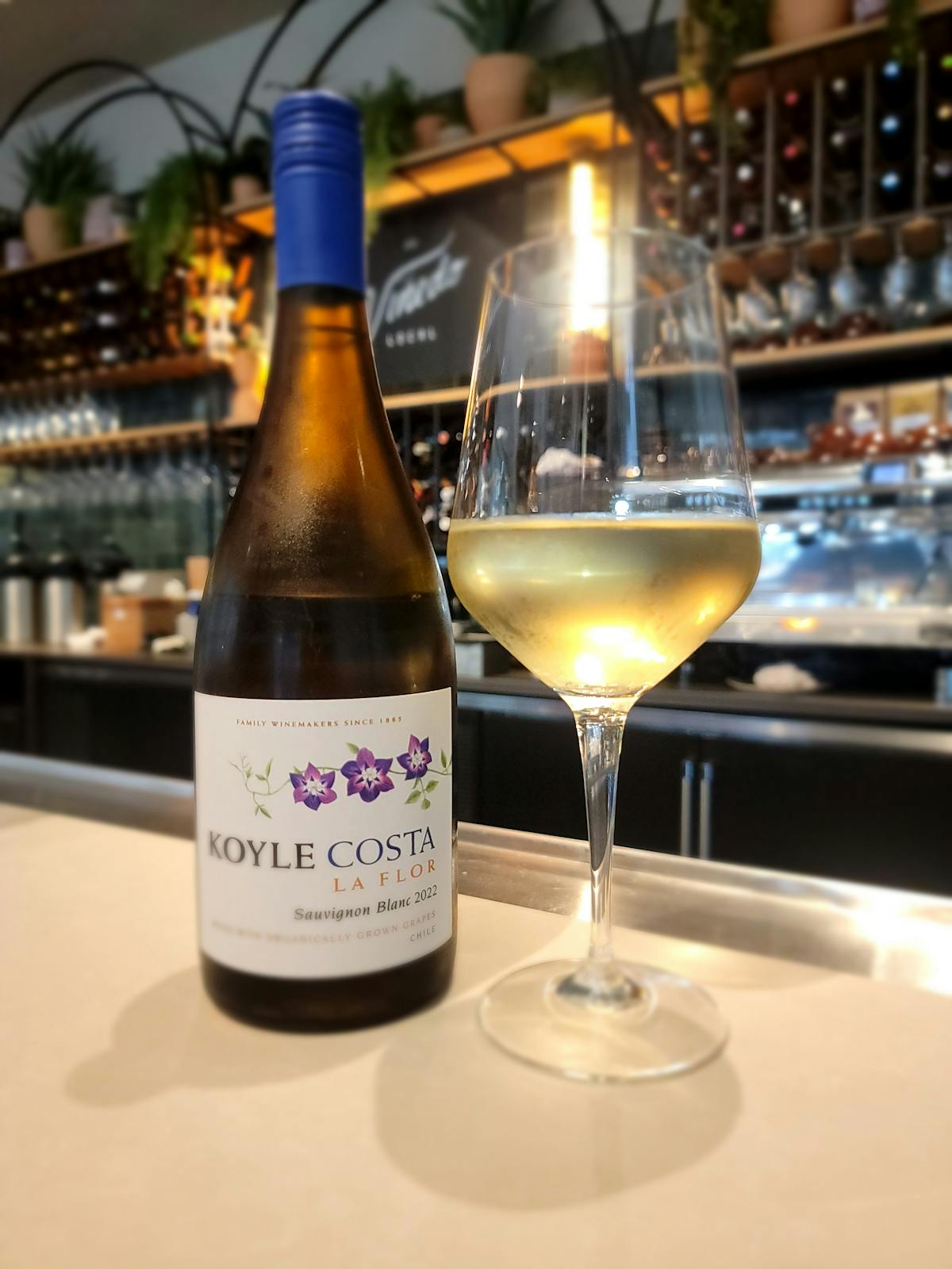 a bottle and a glass of wine