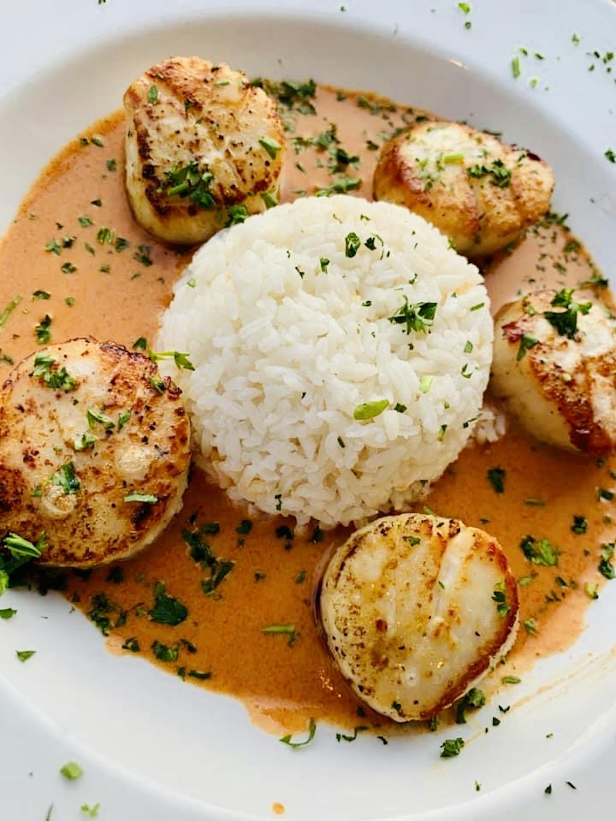 a plate of food
