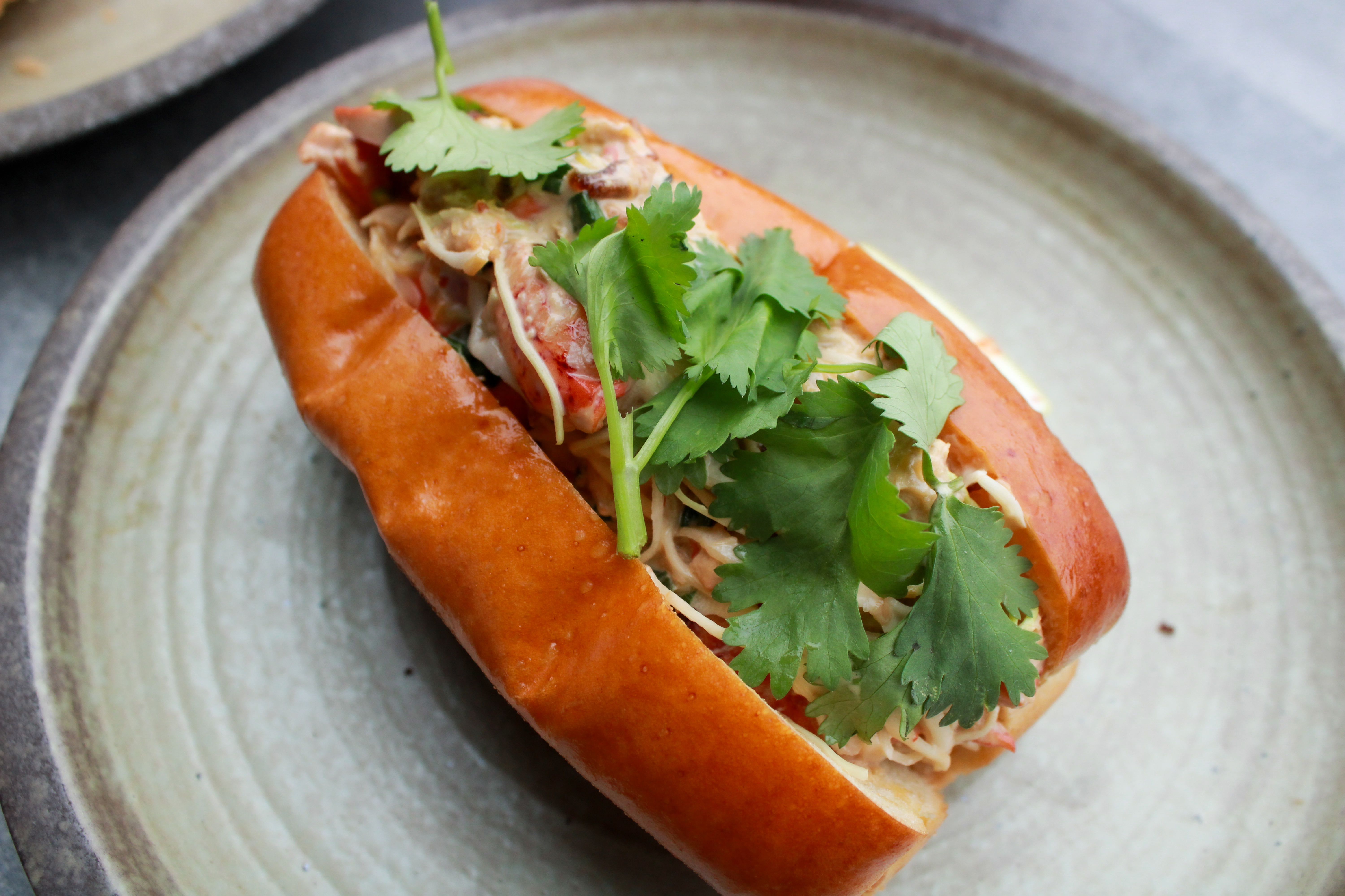 a sandwich sitting on top of a paper plate