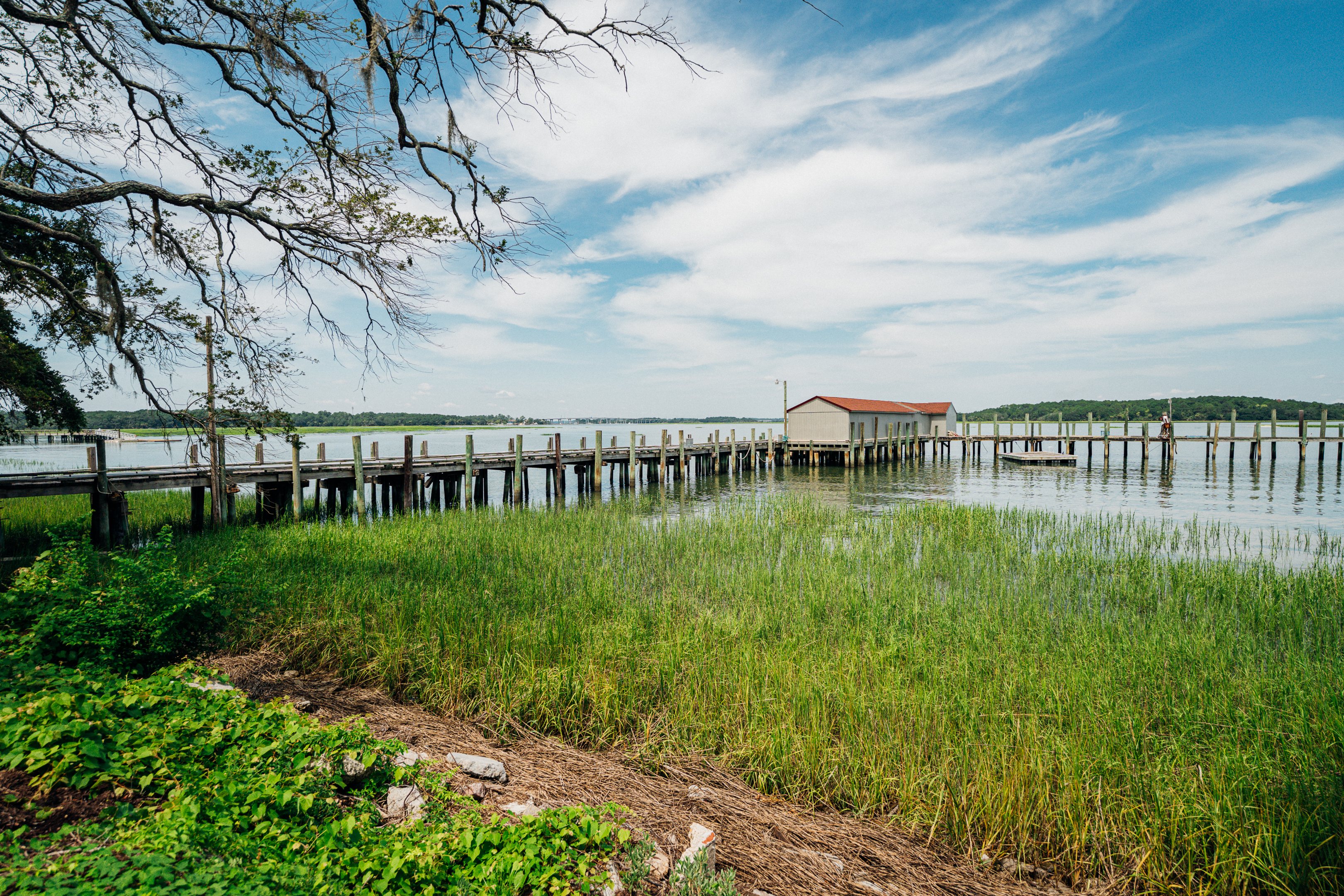 a large green field with trees in the background