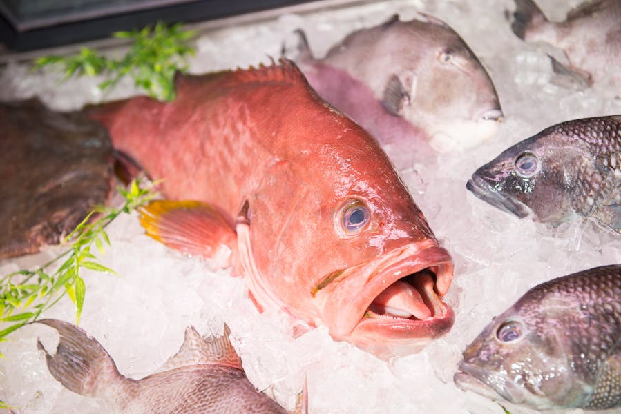 Menus Mr. Fish Seafood Market in Myrtle Beach, SC