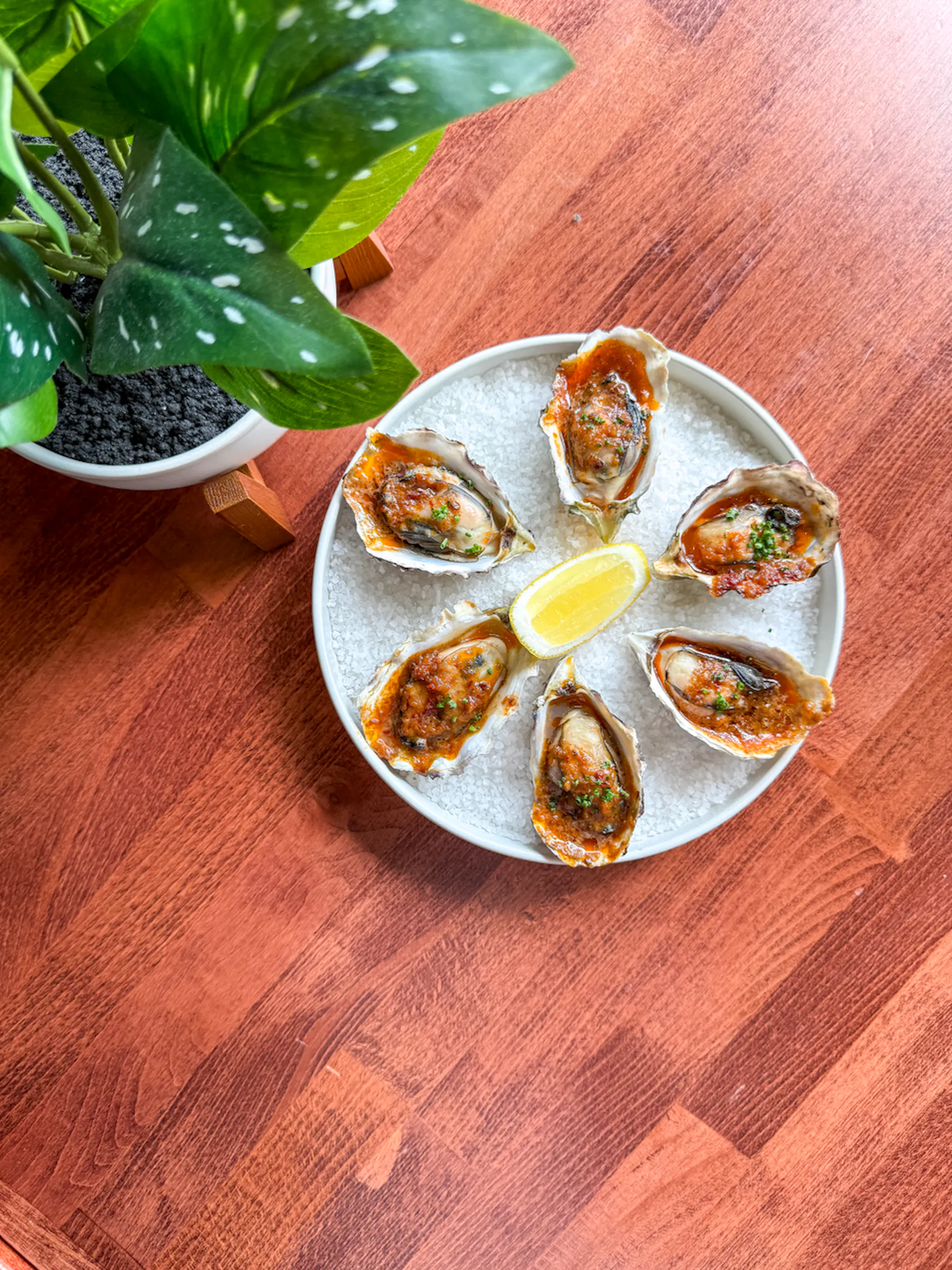 a plate of oysters with a lemon on it
