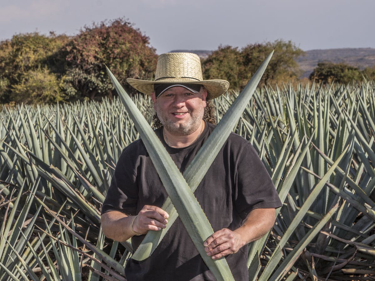 a man holding agave leaves