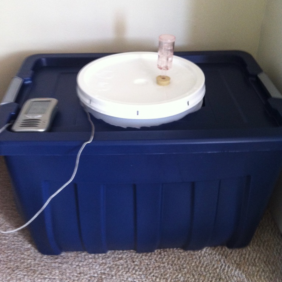 a blue container on a table