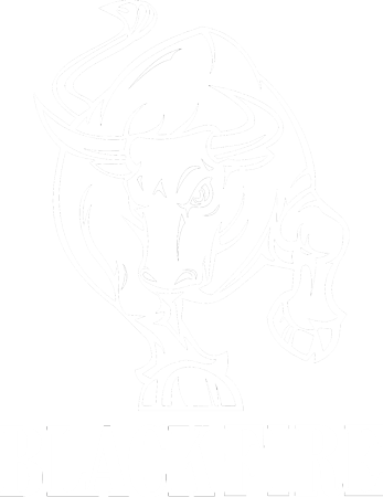 a close up of a logo