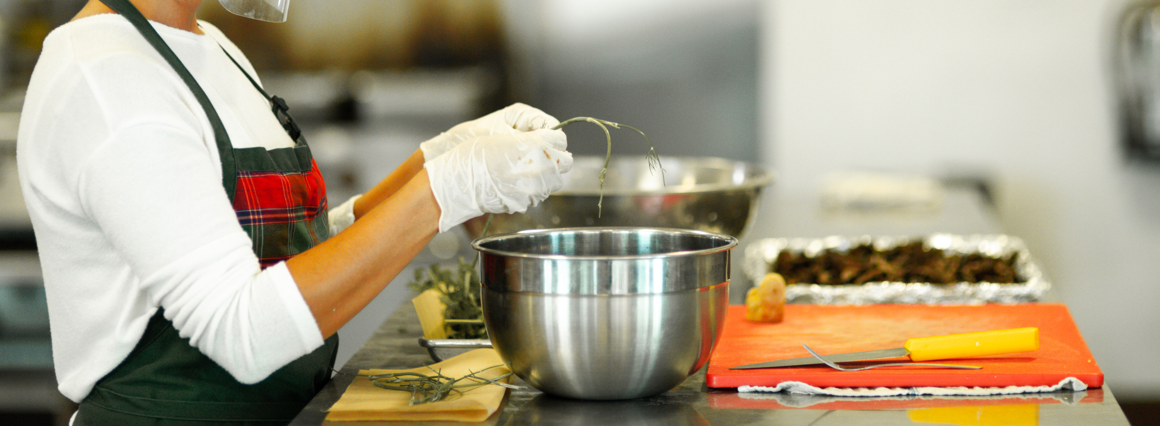 a person holding a plant in a bowl
