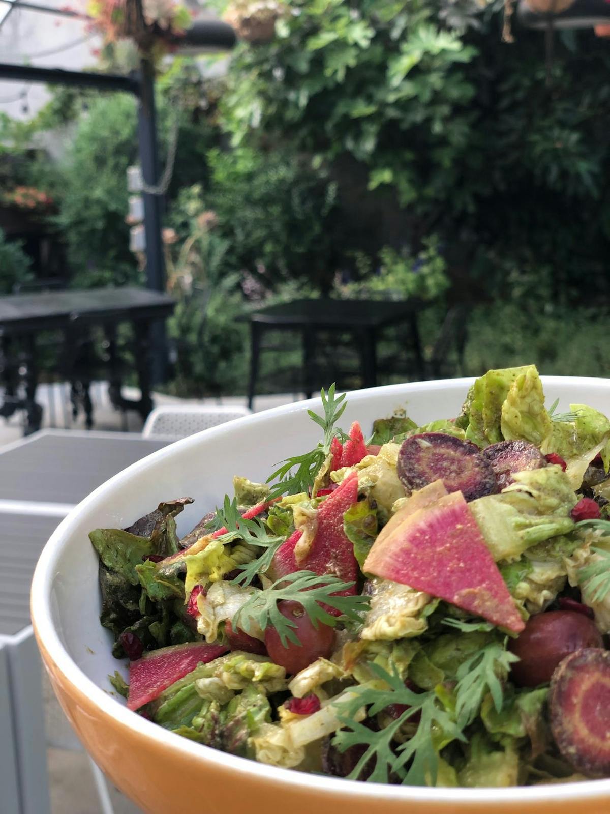 a bowl of salad