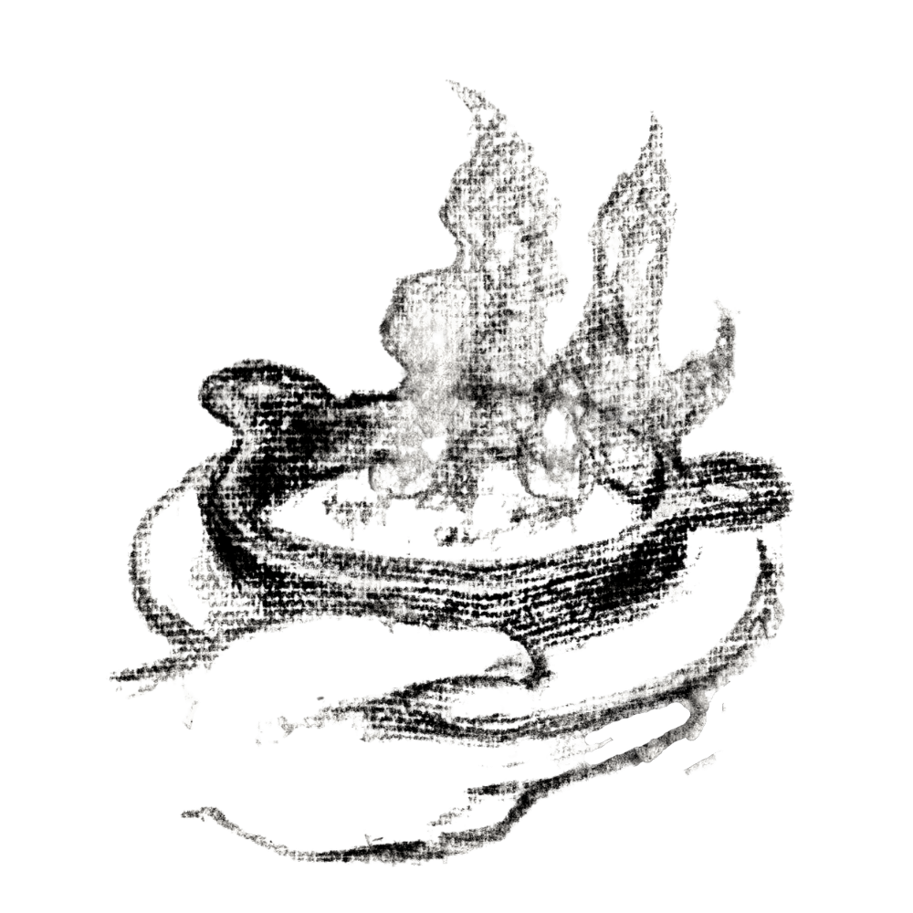 a close up of an animal