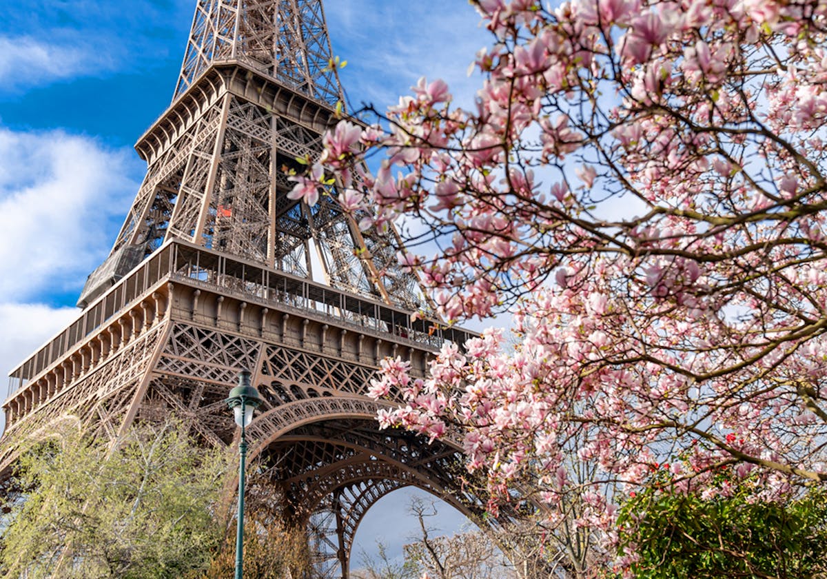 the eiffel tower during springtime