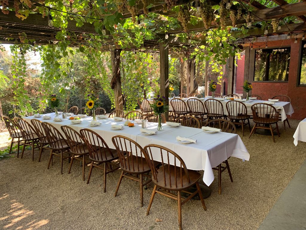 Dining table under our grape arbor
