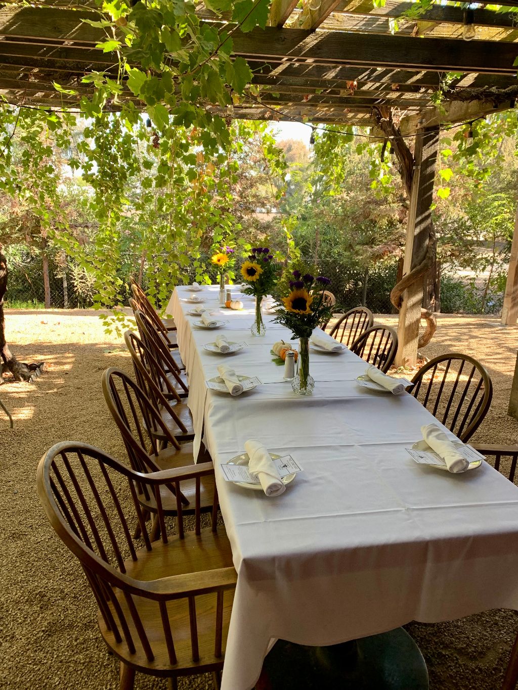 Al fresco dining under our grape arbor