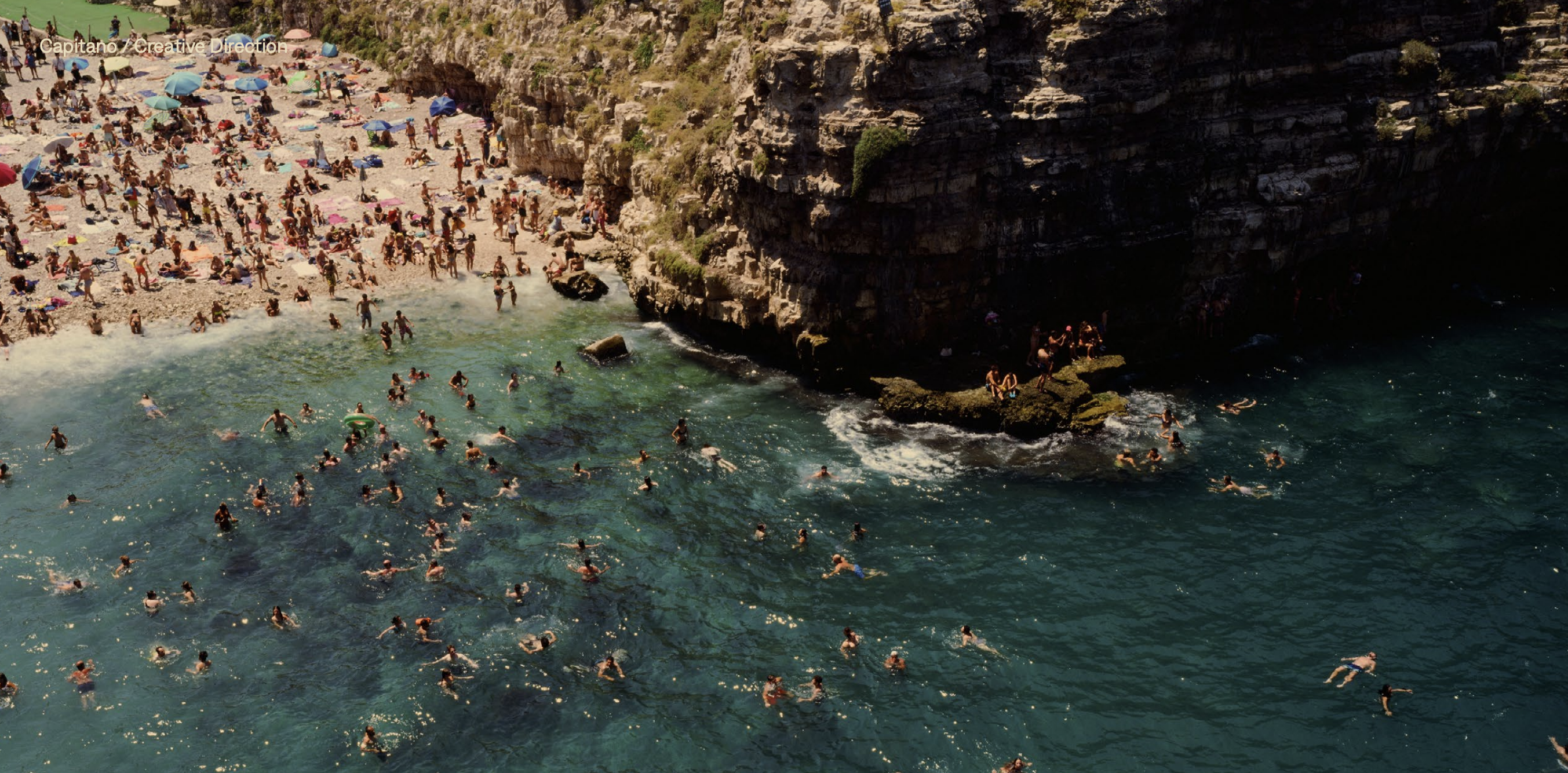 a flock of seagulls standing on a rock next to a body of water