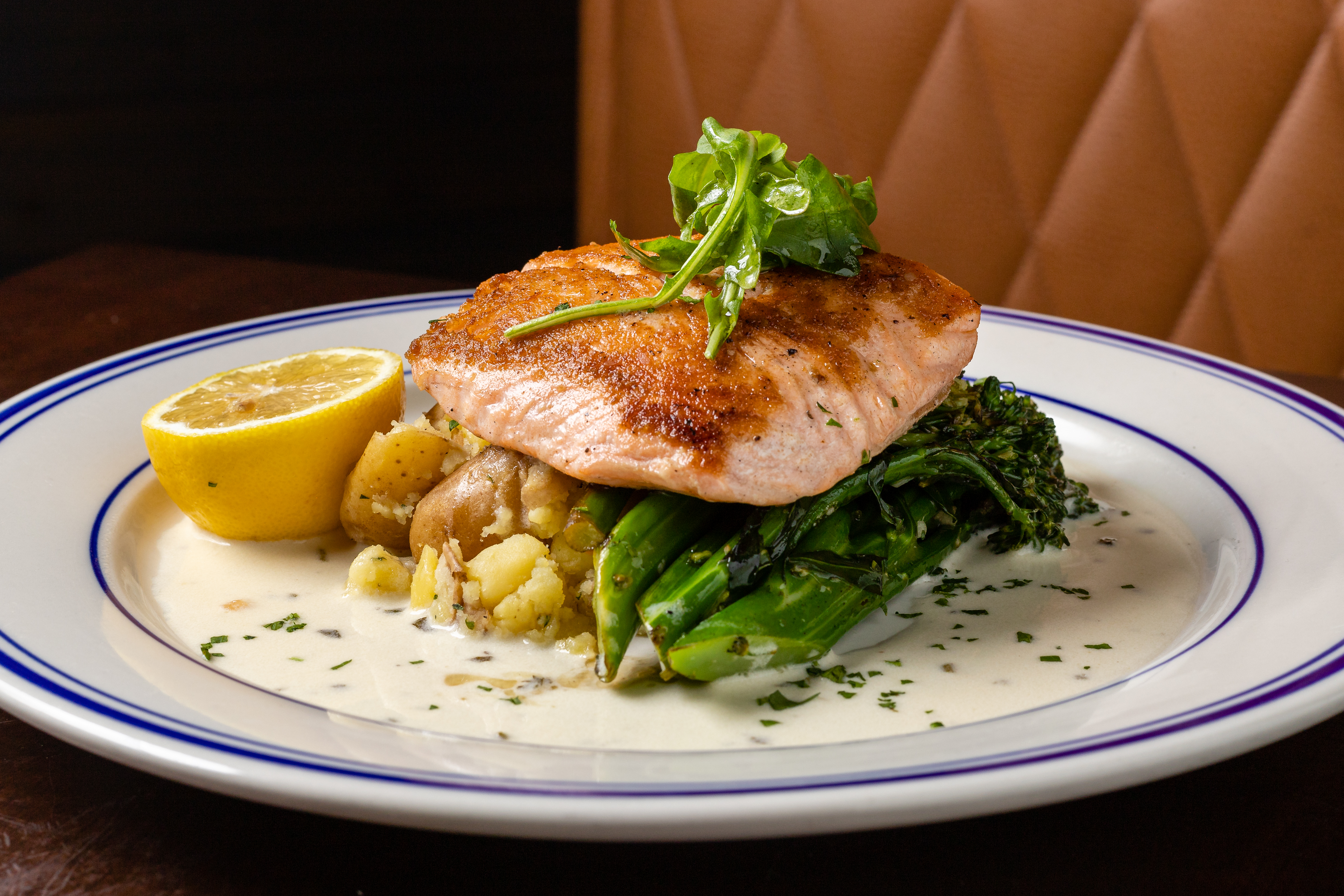 salmon