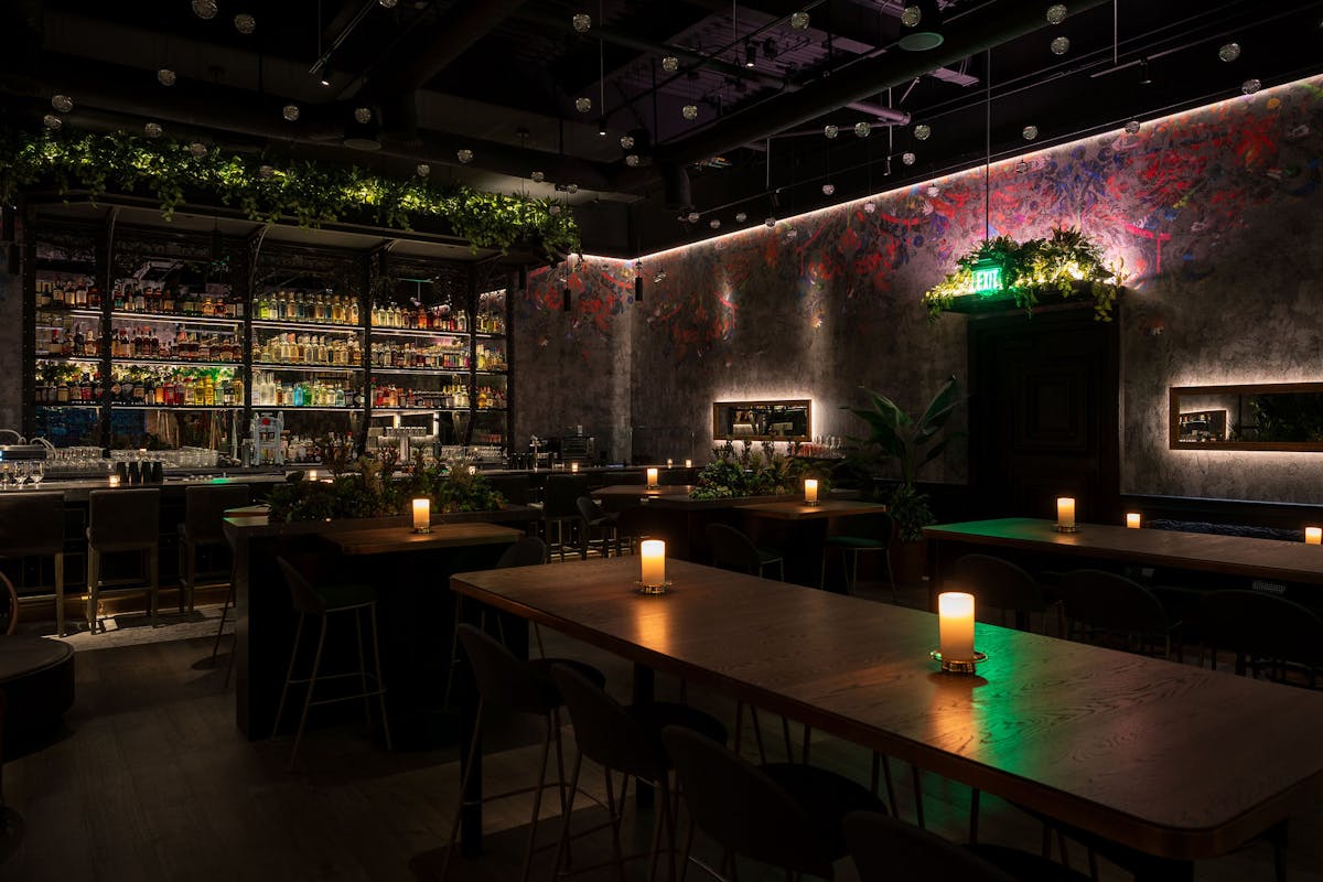 Roma Norte Cocktail Bar Event Venue