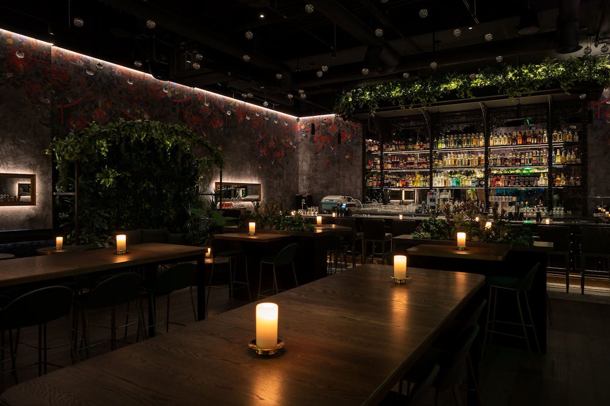 Roma Norte Cocktail Bar Event Venue