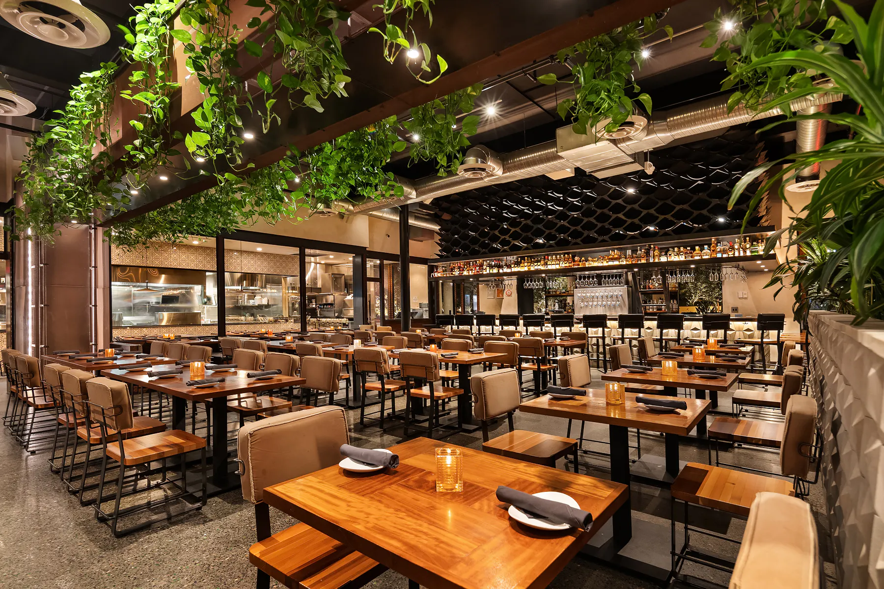 Los Olivos Irvine