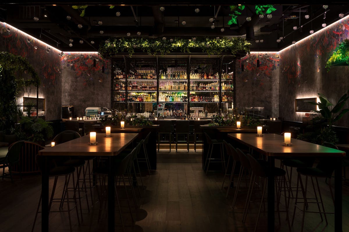 Roma Norte Cocktail Bar Event Venue