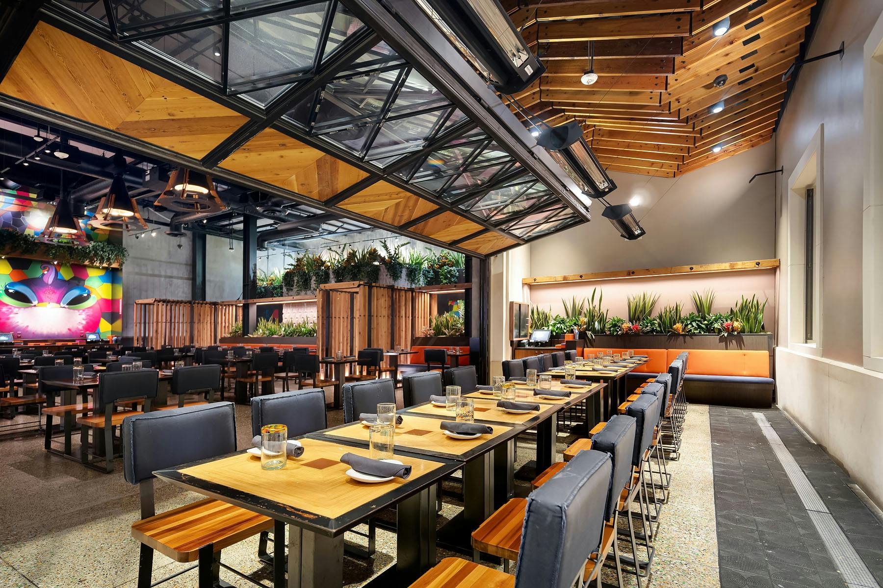 Plantas Patio picture