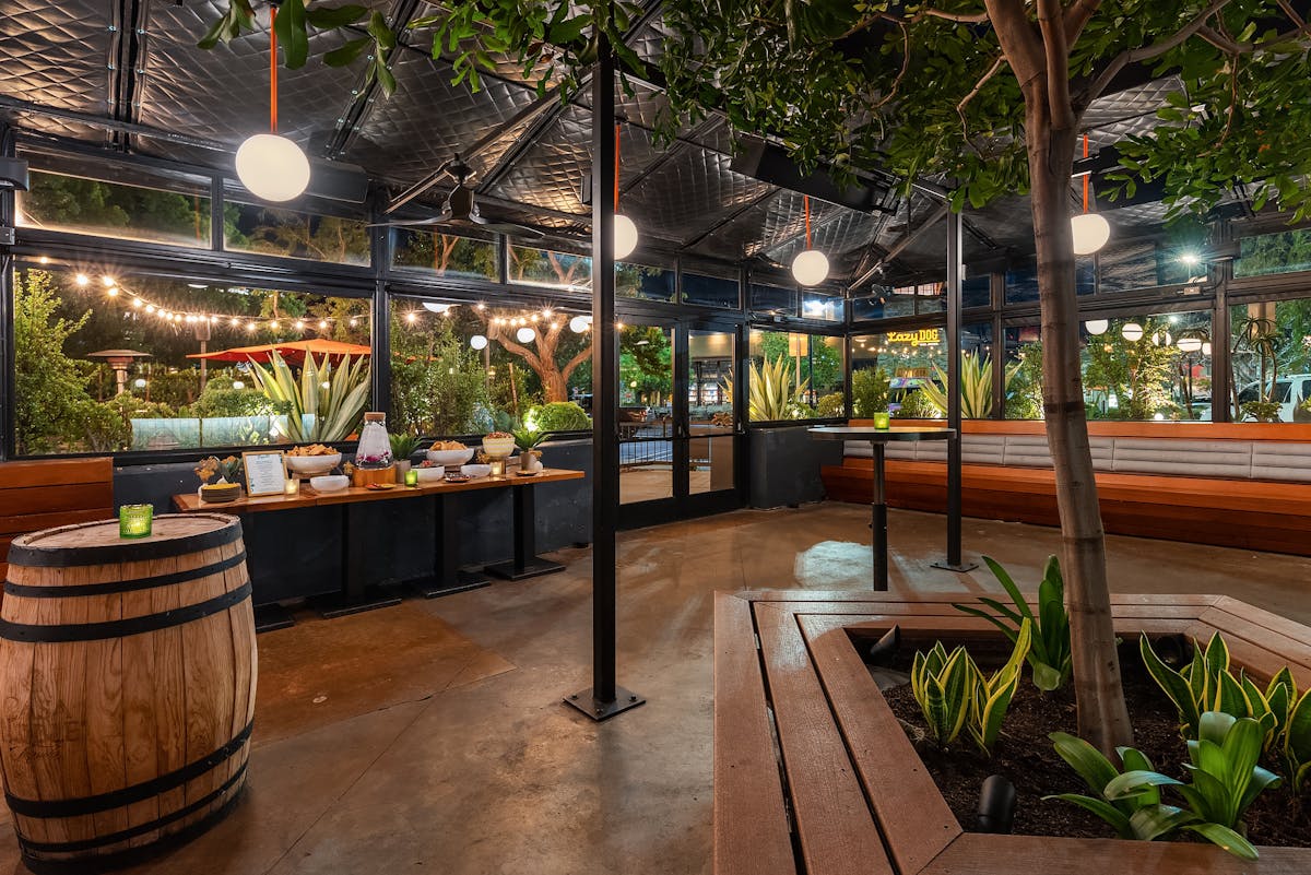 a close up of a garden