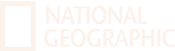 a close up of a sign