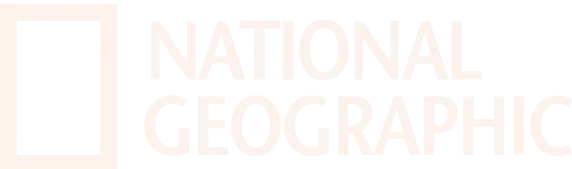 a close up of a sign