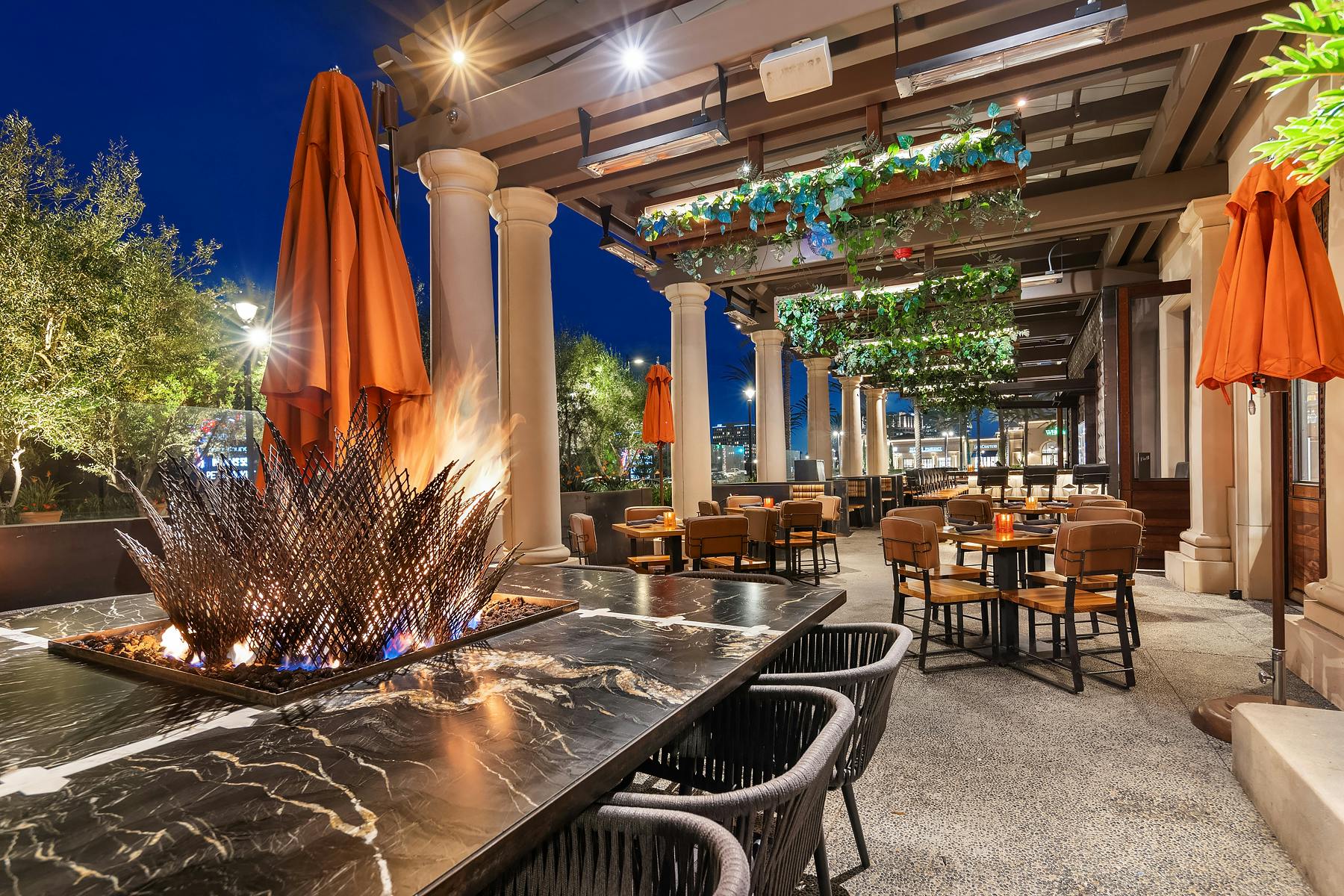 Agave Fire Pit picture