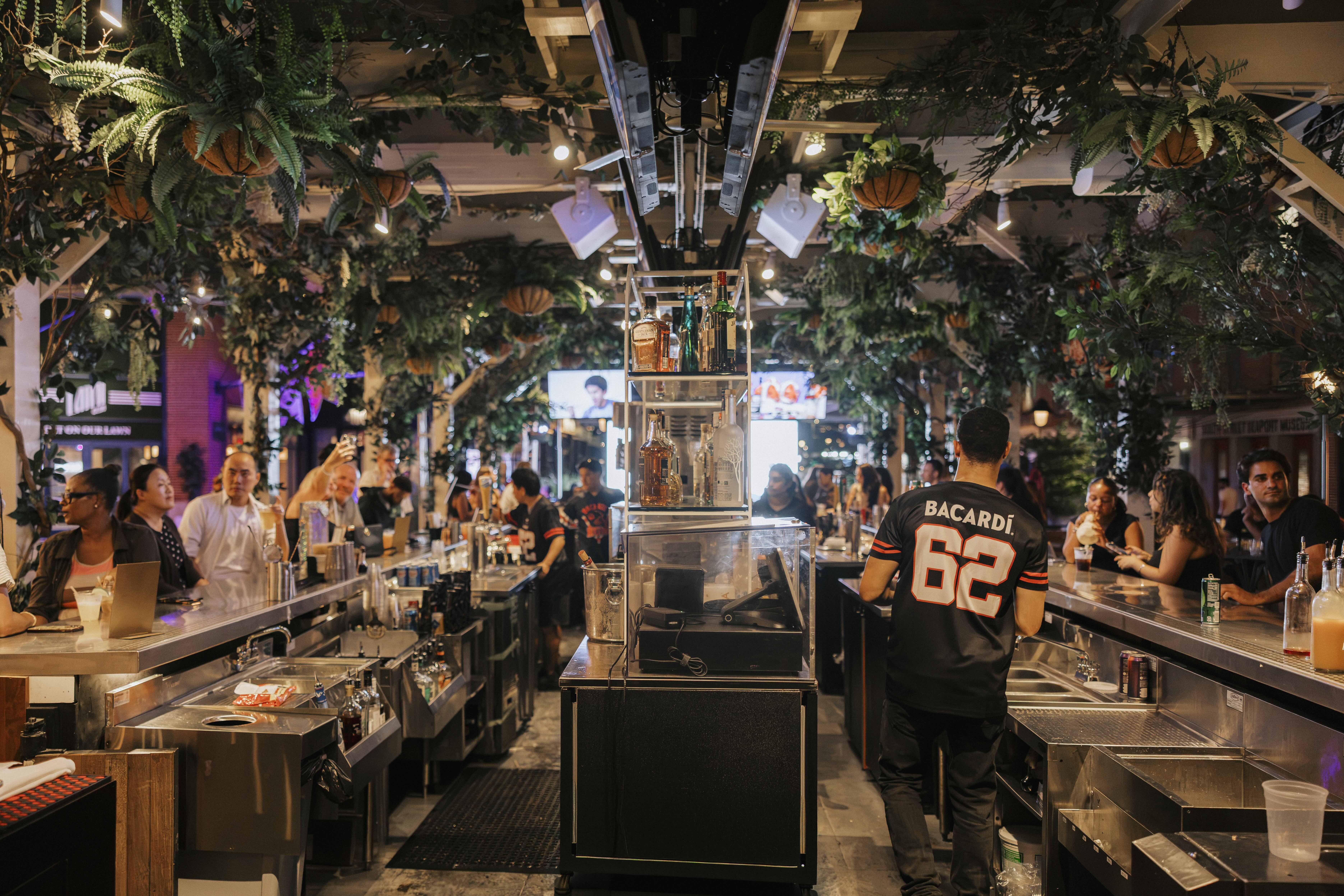 people at a bar