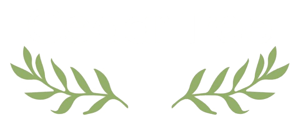 a close up of text on a black background