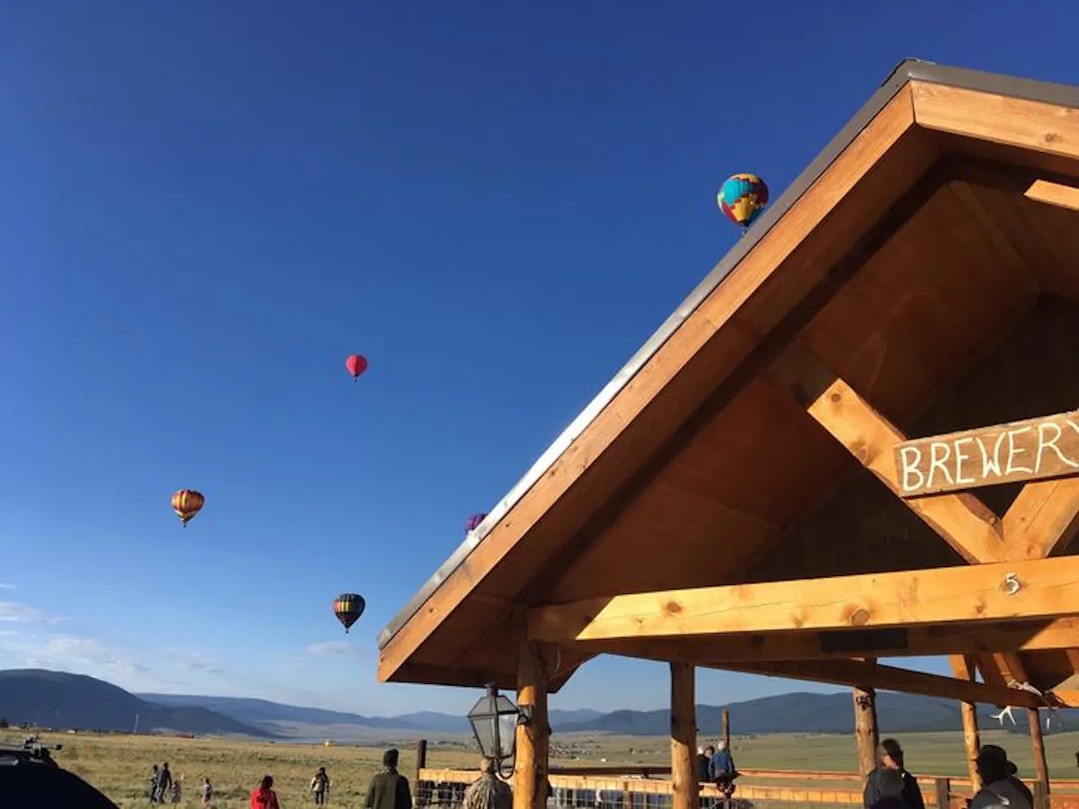 a group of people flying kites in the sky