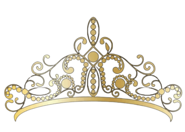 a close up of a logo