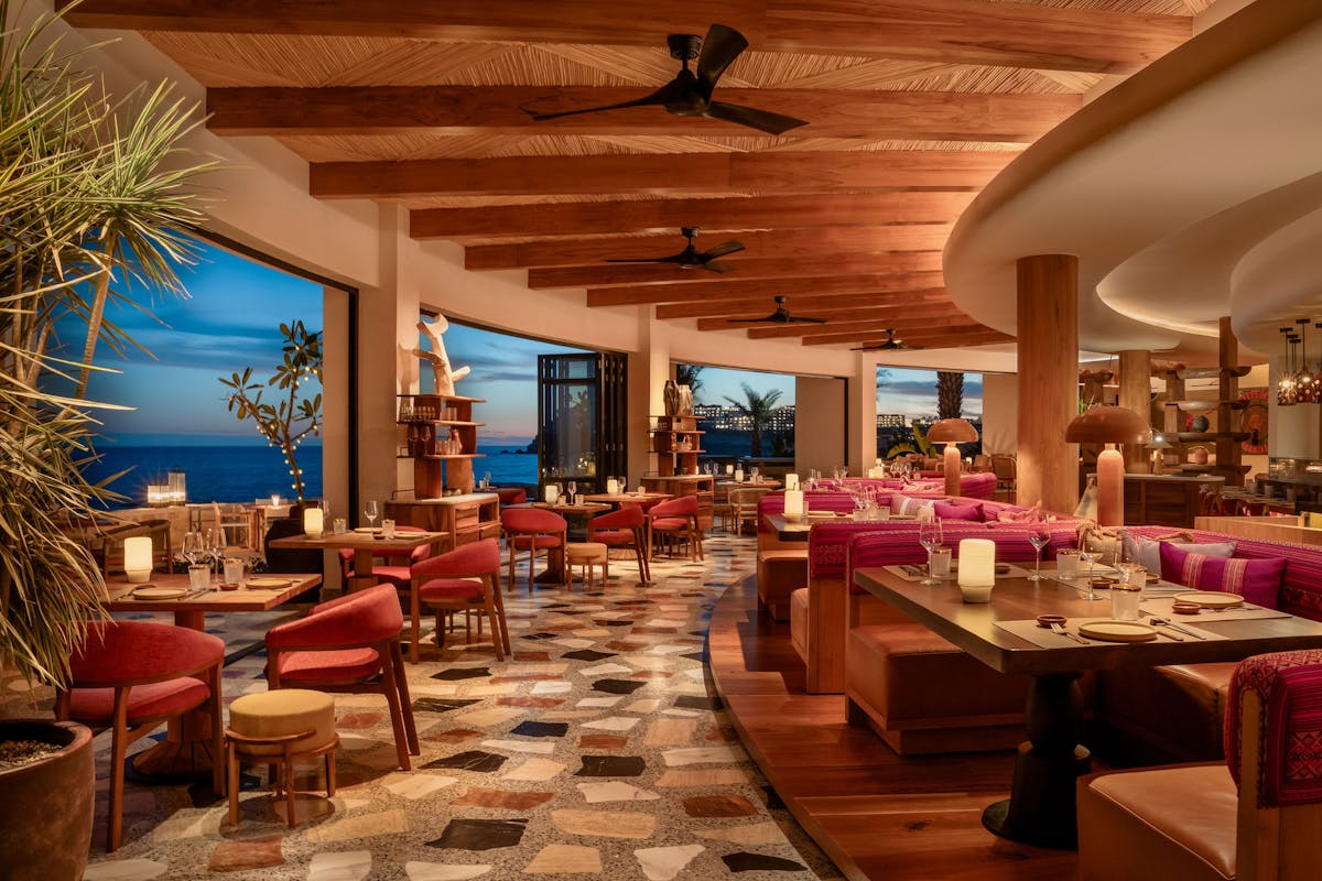 A vibrant restaurant bar with colorful chairs, creating a lively and inviting atmosphere for patrons