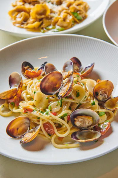 about-verana-in-norwood-nj