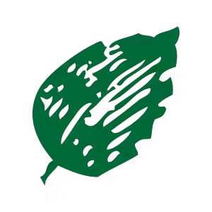a close up of a logo