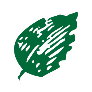 a close up of a logo