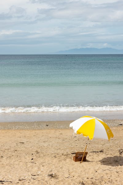 Ask a Local The Insider’s Guide to Waiheke The Oyster Inn Coastal