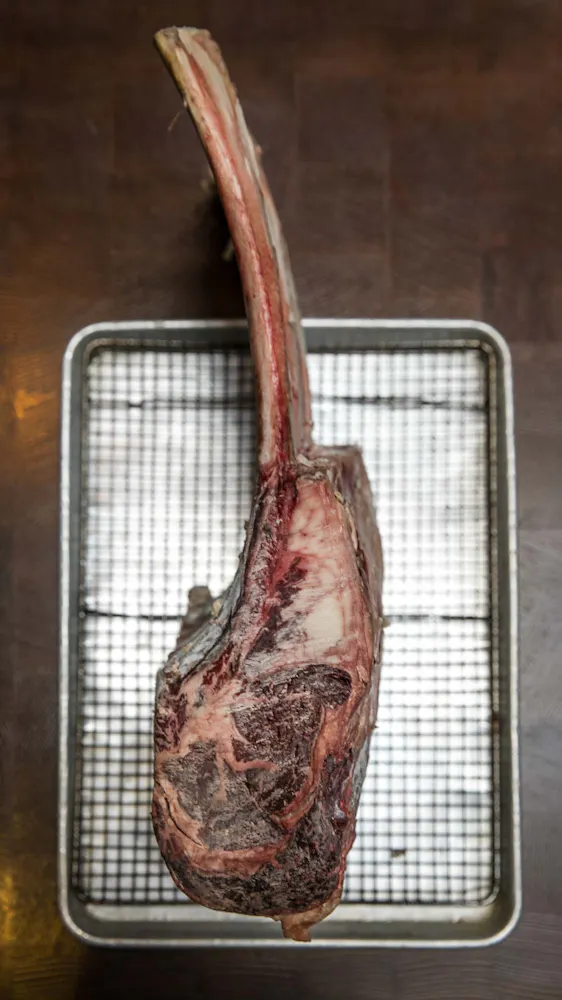 a bird sitting on top of a wooden table