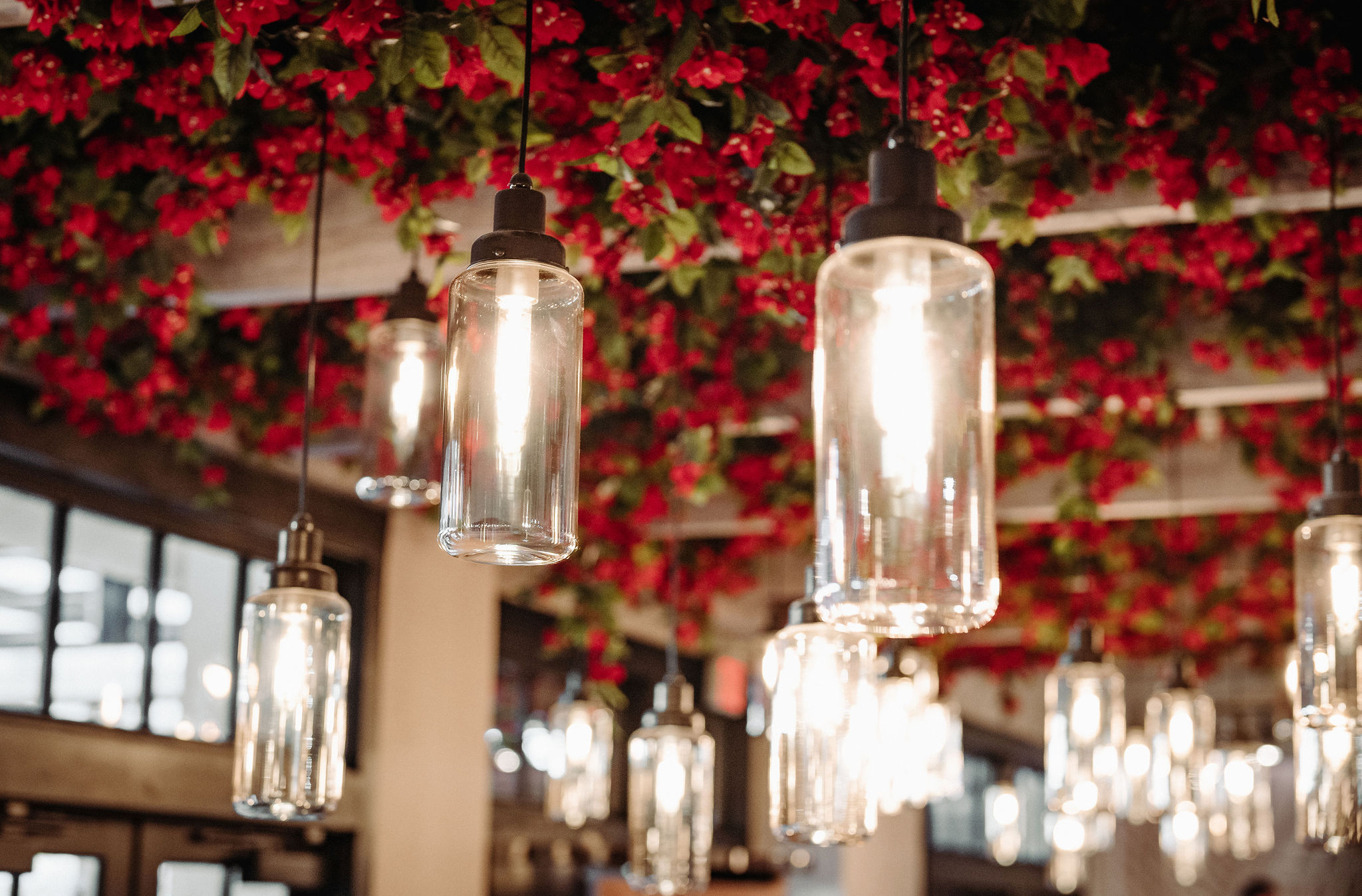 light bulbs and red flowers