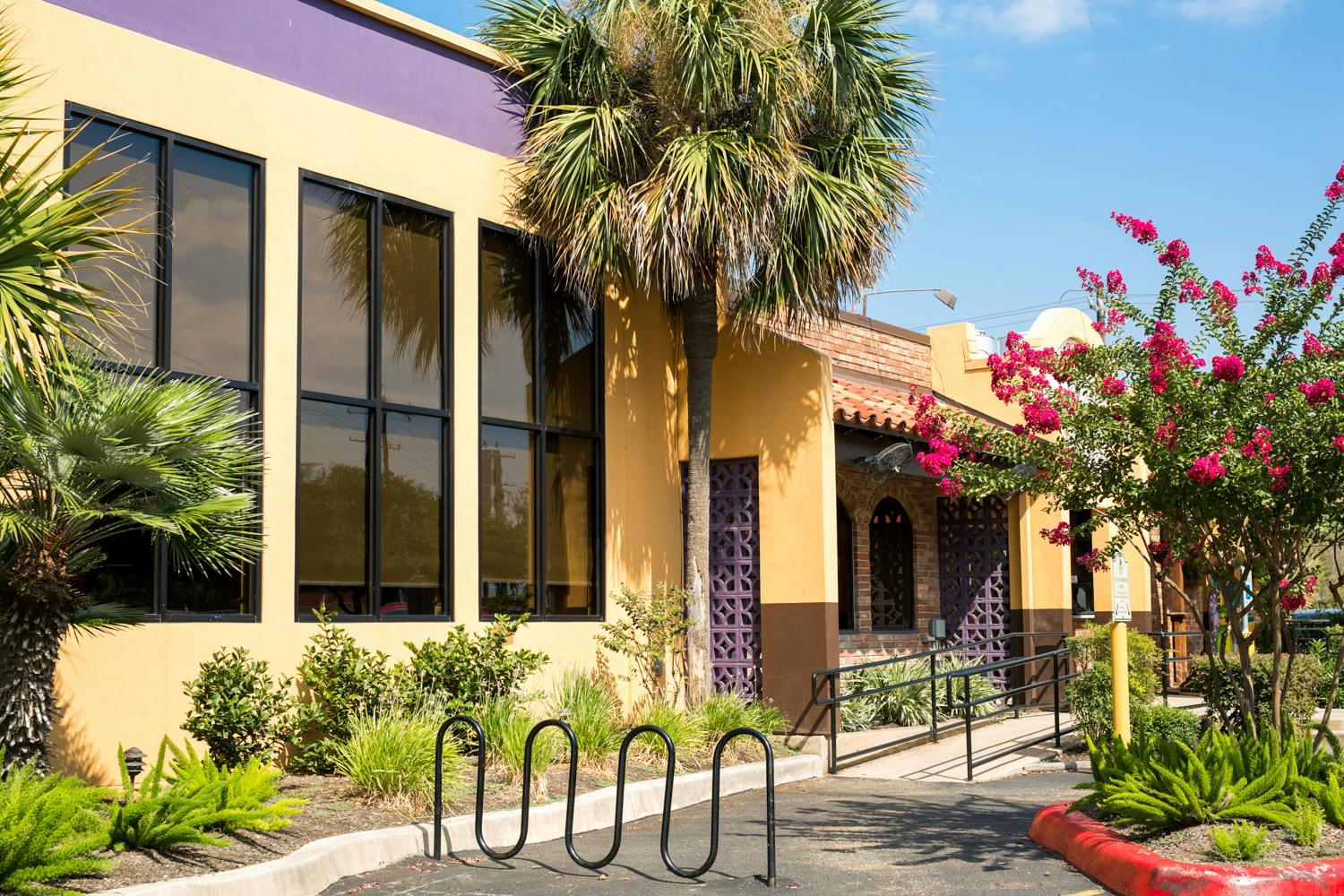 a close up of a flower garden in front of a building