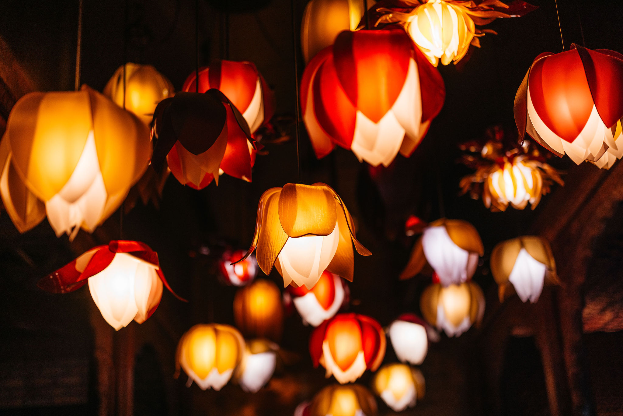 a cake with lit candles