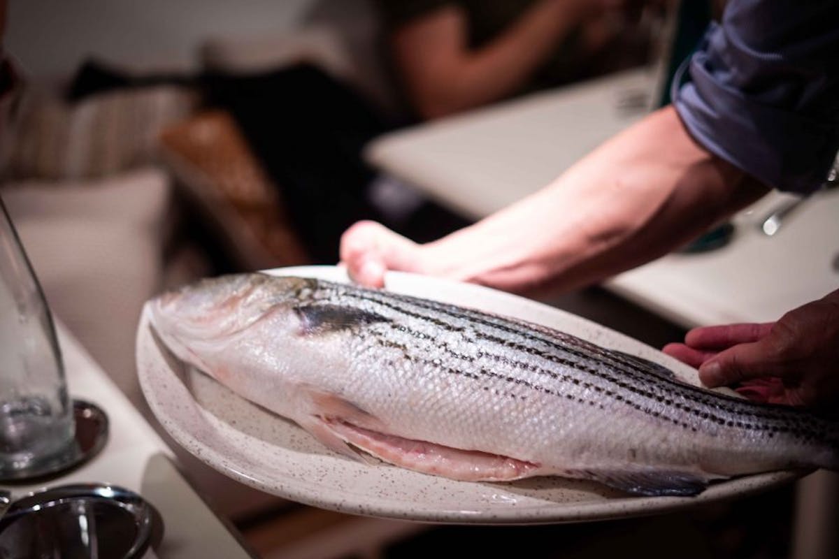 a man holding a fish