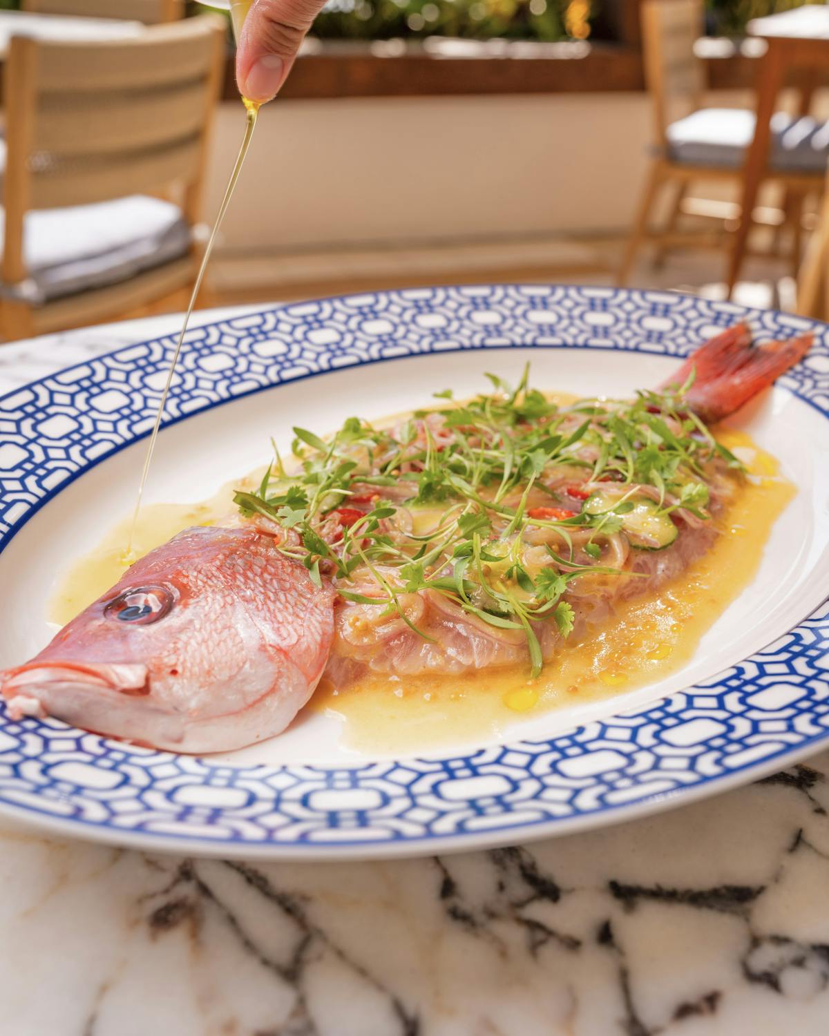 Oceanfront dining at Serea in Coronado featuring fresh Mediterranean-inspired seafood, elegant plating, and panoramic views of the Pacific