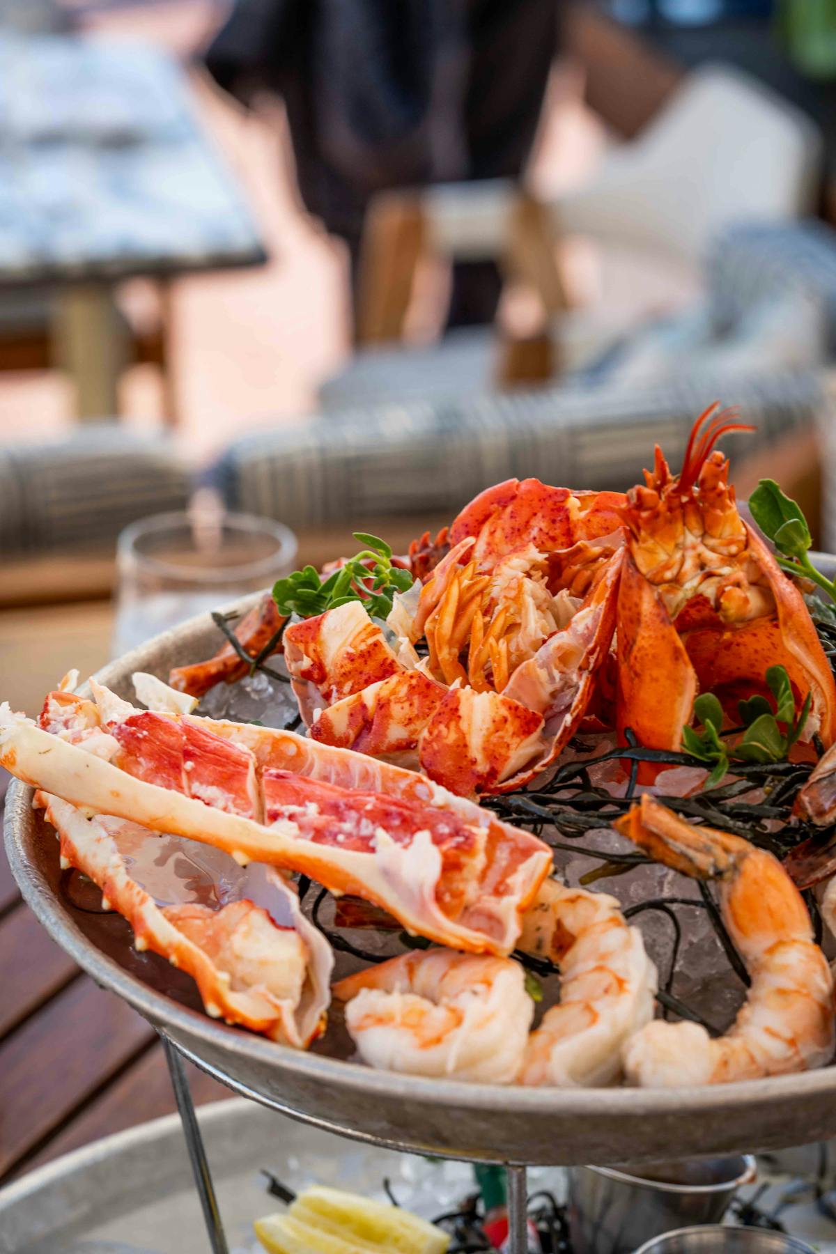 Serea- the best seafood restaurant in Coronado.
