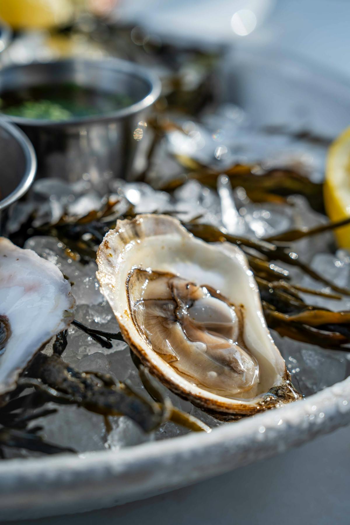 Serea, the best restaurant in Coronado, features fresh oysters
